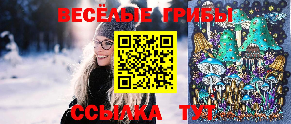 Псилоцибиновые грибы прущие грибы Кизилюрт