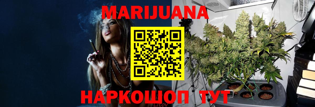 Конопля планчик  Бошки марихуана гибрид  Вход с VPN  Шишки марихуана Bruce Banner  Кизилюрт 